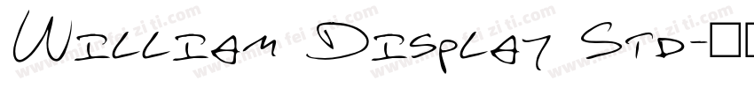 William Display Std字体转换